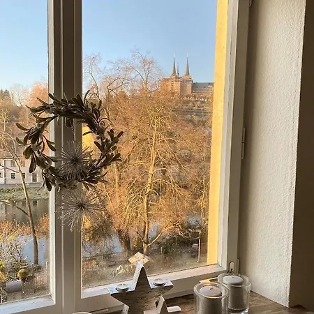 Dom- U. Regnitzblick * באמברג
